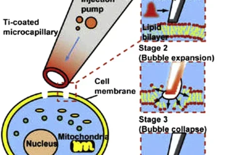 Photothermal Nanoblade Named One of Top Ten Technological Breakthroughs of 2011