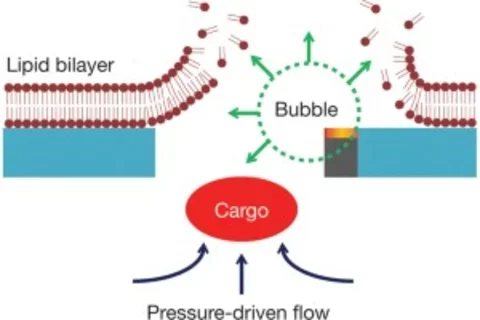 Nature Methods Highlights Photothermal Nanoblade and BLAST Technologies for Delivering Difficult Cargo into Cells