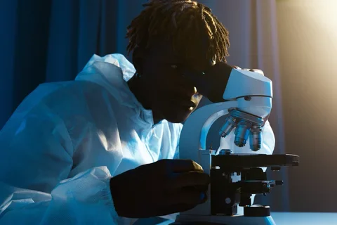 A researcher looks into a microscope.
