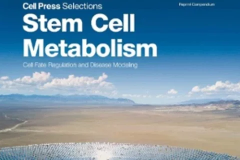 Stem Cell Metabolism Cover
