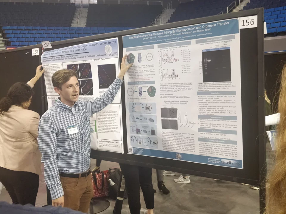 An undergraduate student gives a poster presentation