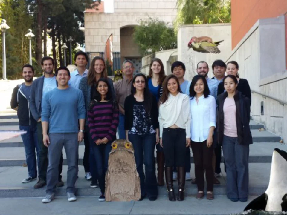 Group photo of Teitell lab standing on the steps of the UCLA campus
