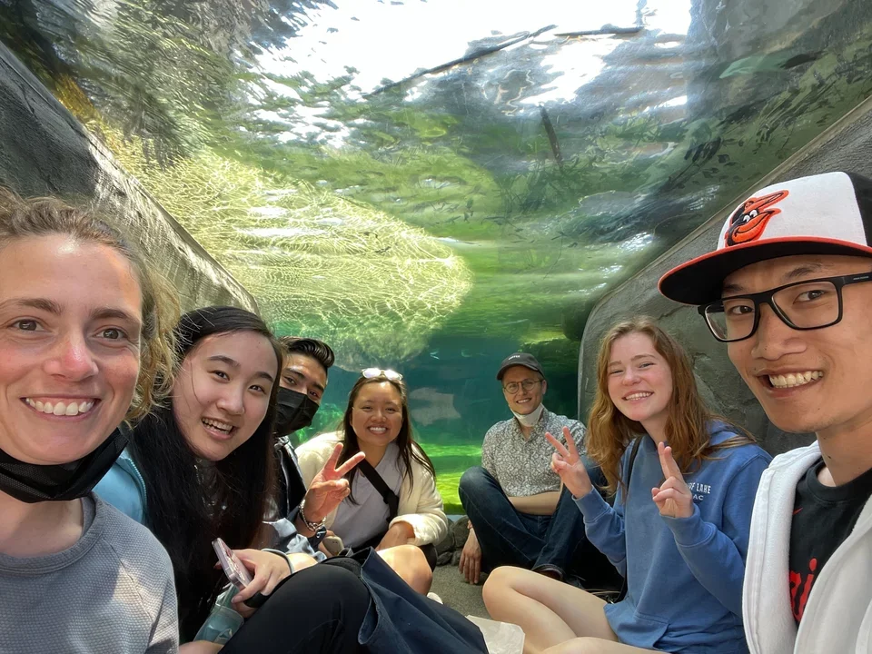 Lab members sit in a cave made of glass under an aquarium tank at the Long Beach Aquarium 