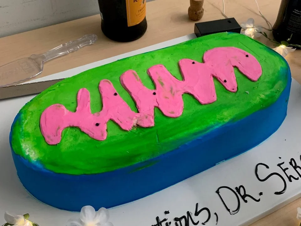 A cake that looks like a mitochondria that says "Congratulations, Dr. Sercel!"