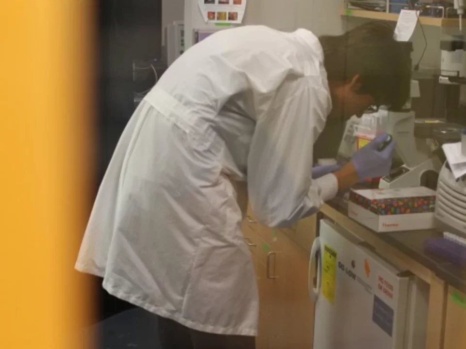 Photo from 2015, a lab member bends over the bench in lab and focuses on his work