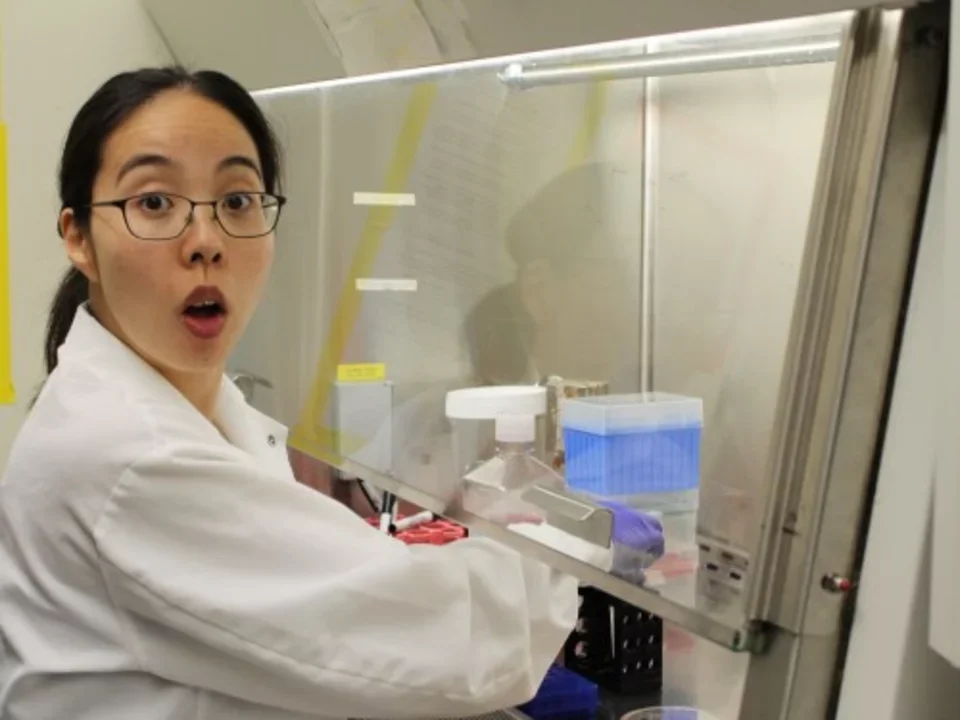 Photo from 2015, Eriko has her hands in the hood and is looking at the camera in surprise