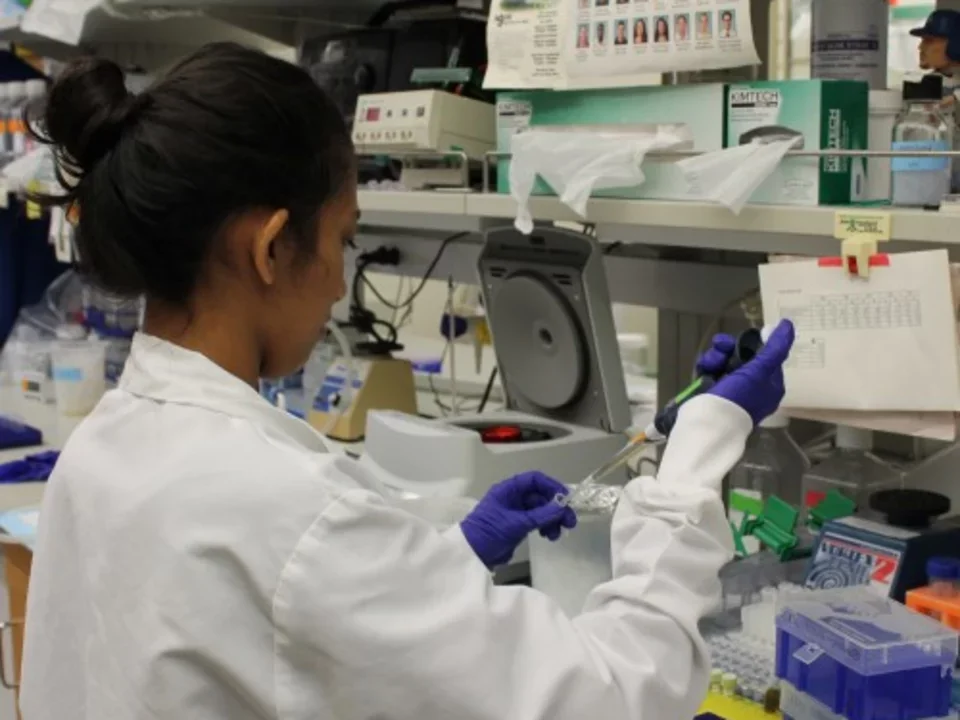 Mahuya pipets in lab, photo from 2015