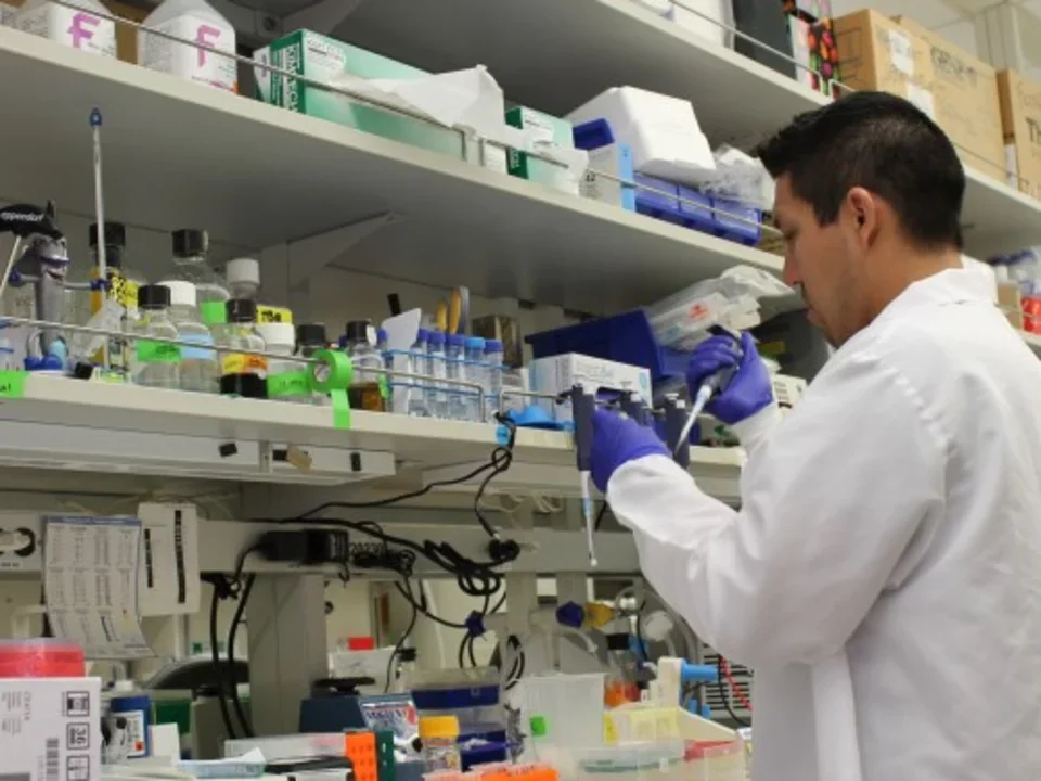 a focused scientist in a lab coat works at a lab bench